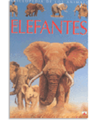 PORTADA DEL LIBRO ELEFANTS DE  A.A.V.V.