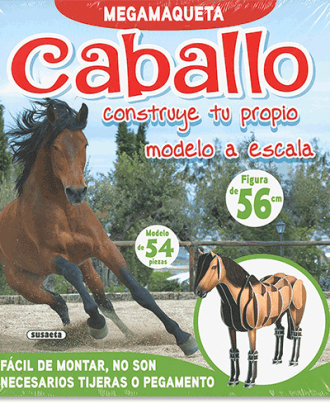 PORTADA DEL LIBRO CABALLO DE Rocío Cuenca