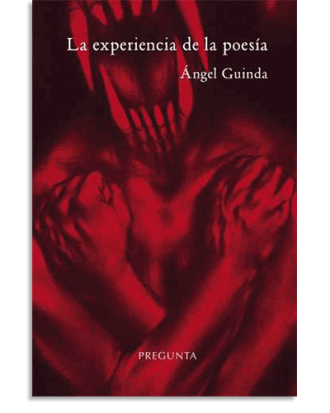 PORTADA DEL LIBRO LA EXPERIENCIA DE LA POESÍA DE Ángel Guinda Casales